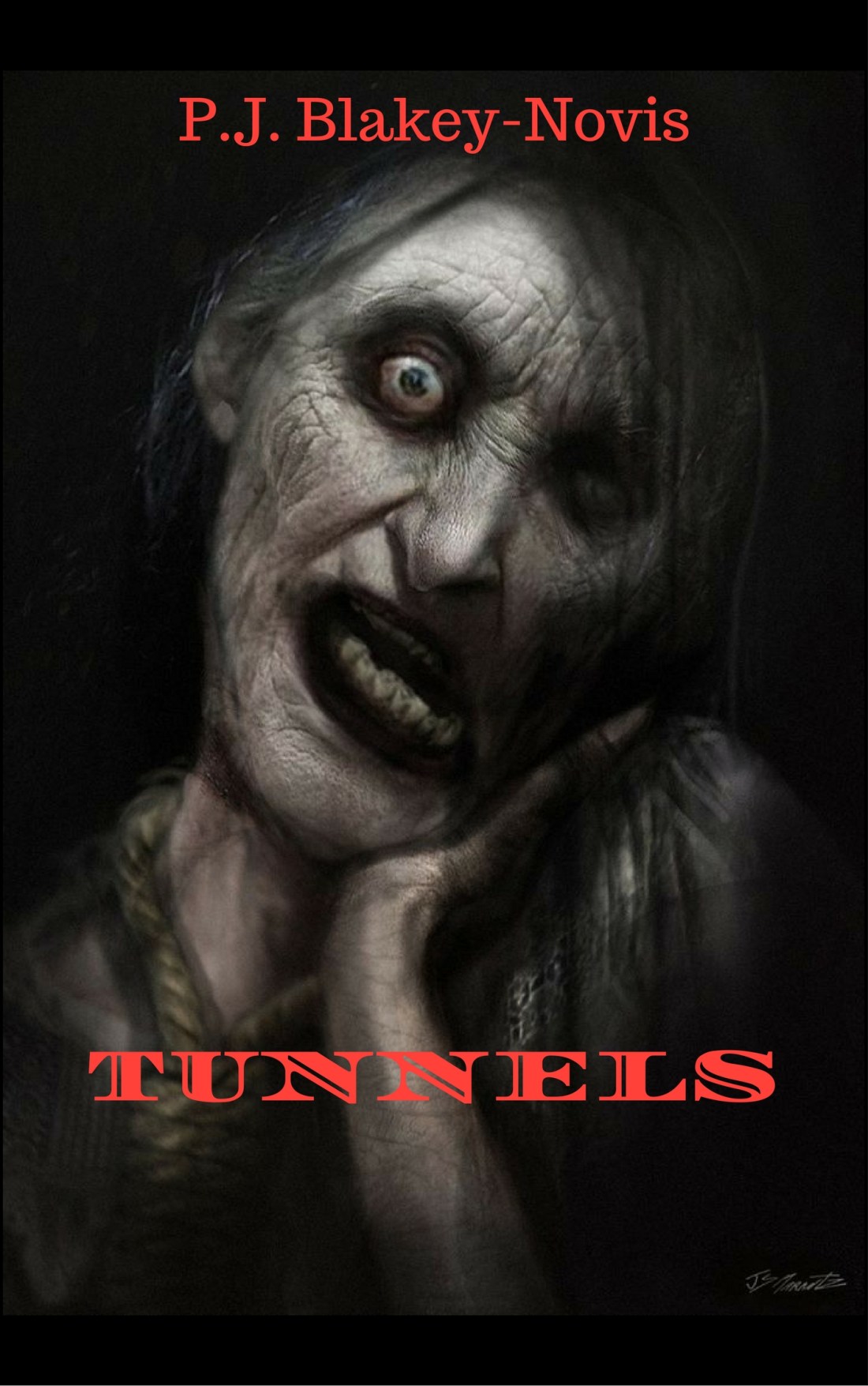 tunnelsjpg[76]