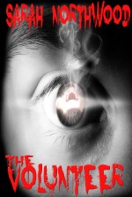 volunteer[656] new ebook cover 23.01.17